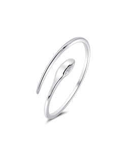 Silver Ring NSR-4289